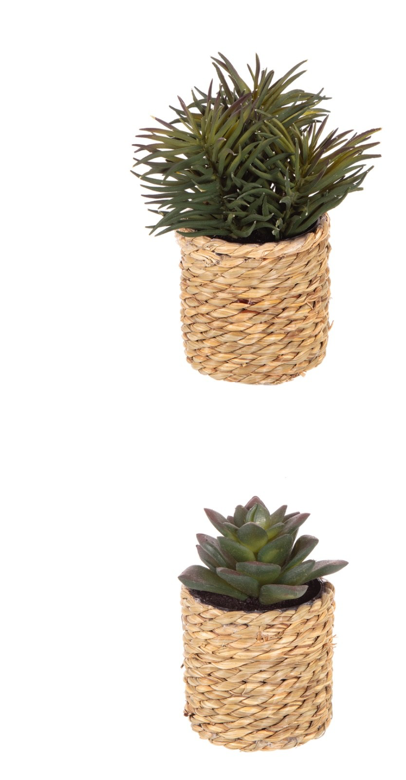 2 Different Artificial Cactus/Mini Succulents in a Seagrass Pot Indoor Outdoor