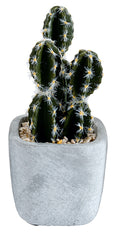 Choice of 6 different Artificial Cactus Plants in a  Stone Effect Ceramic Pot
