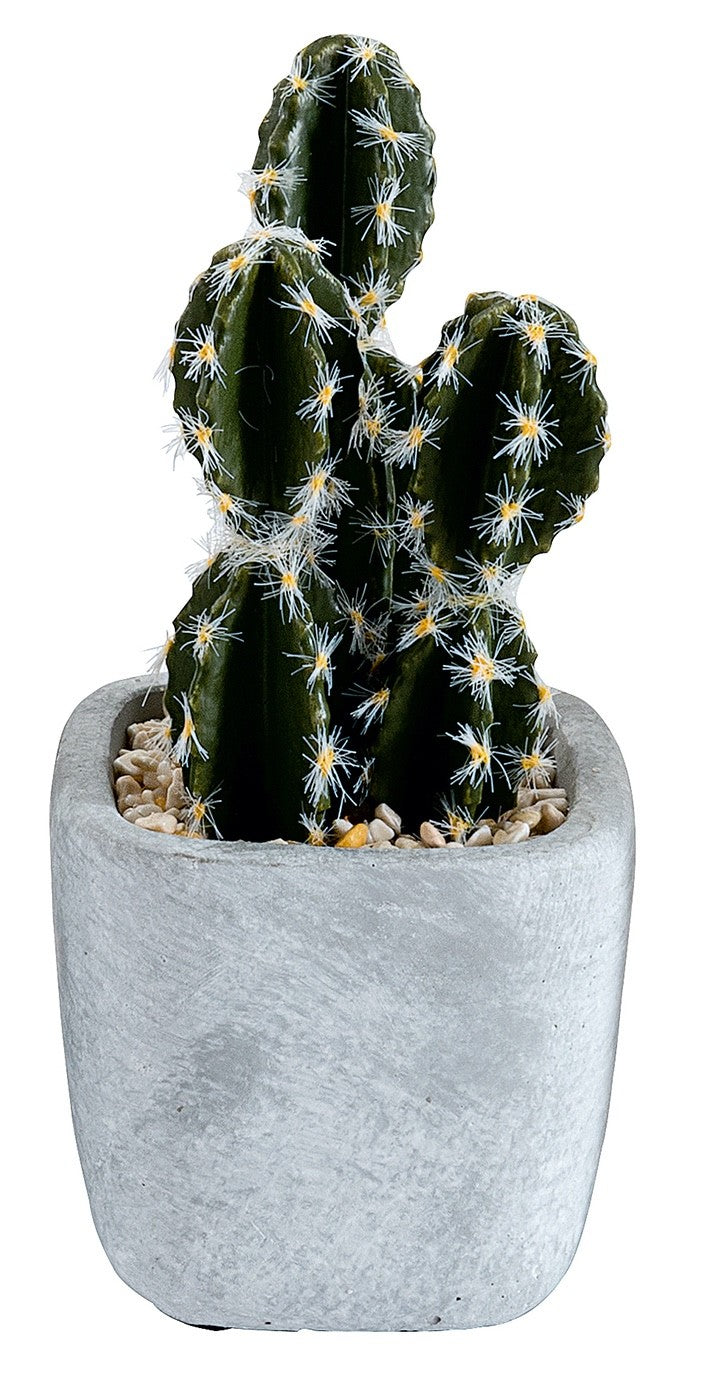 Choice of 6 different Artificial Cactus Plants in a  Stone Effect Ceramic Pot