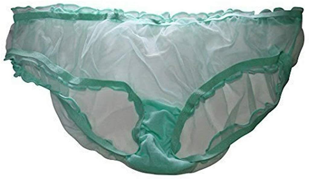 Ladies Sheer Mesh Transparent Net Sexy Knickers Panties Briefs Elasticated 8-12