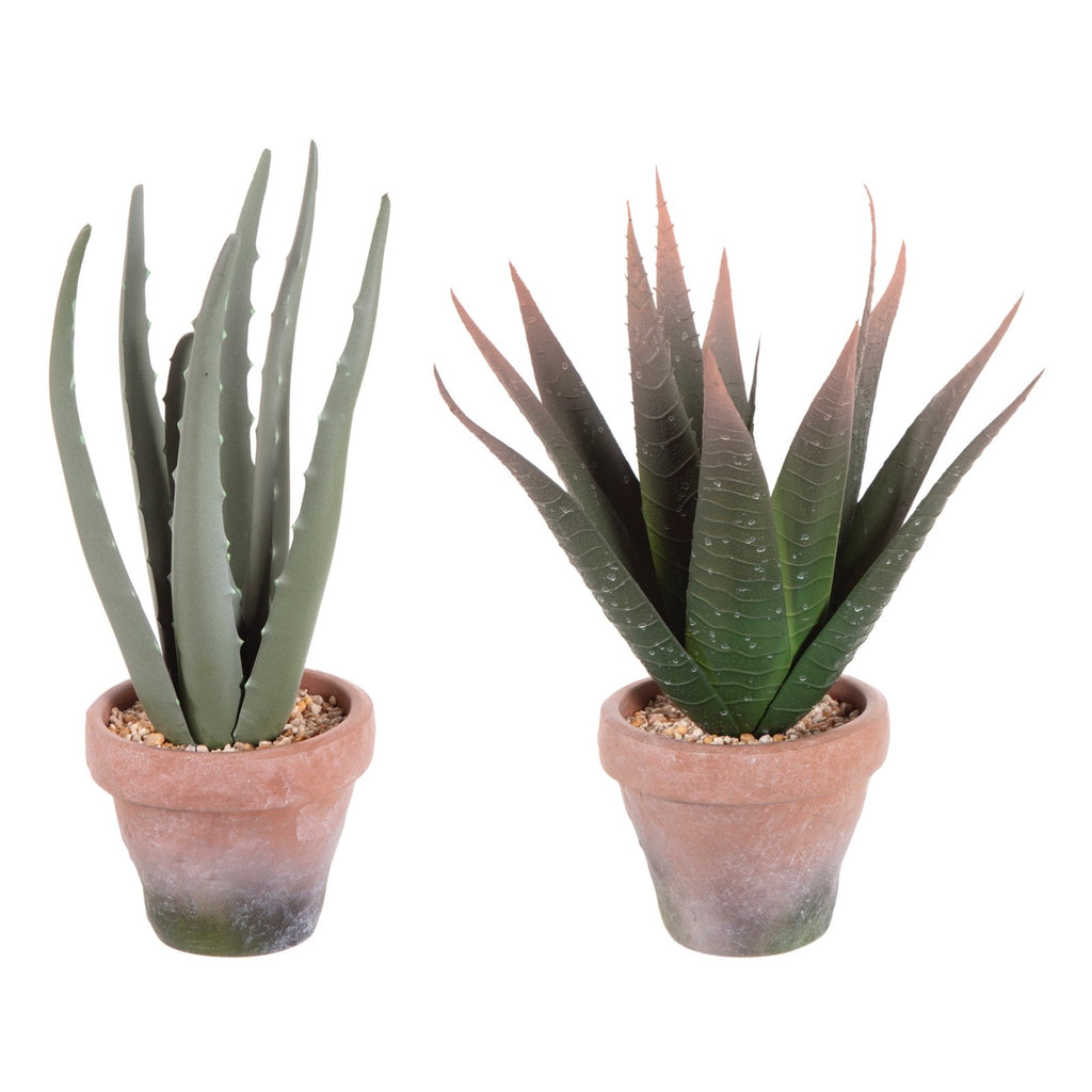 Choice of 2 Artificial Cactus Aloe Vera Plants in Terracotta Effect EVA Pot 30cm