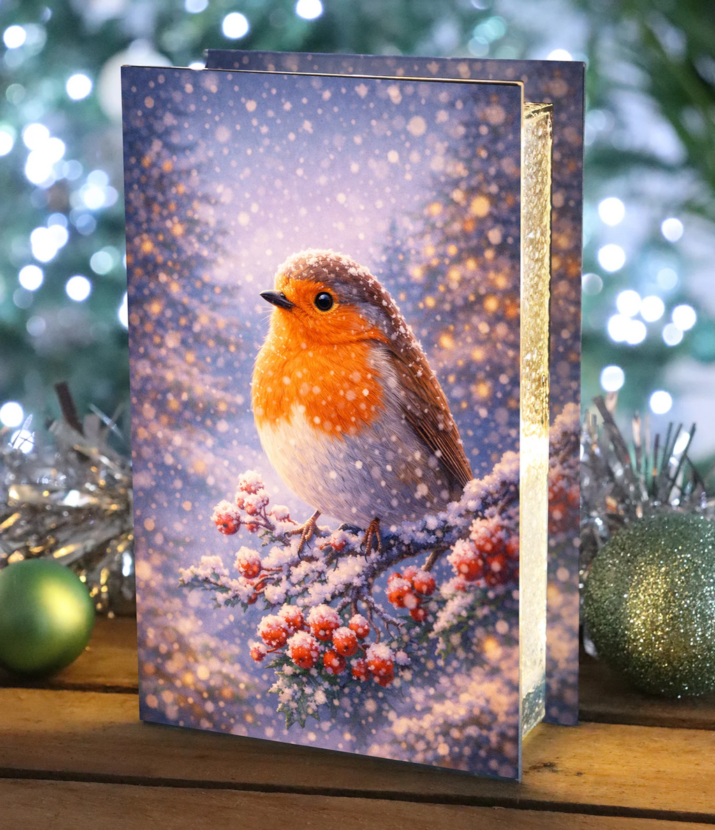 Glass Flashing or Static LEDs Robin Christmas Decoration 21cm Tall Double Sided