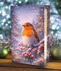 Glass Flashing or Static LEDs Robin Christmas Decoration 21cm Tall Double Sided