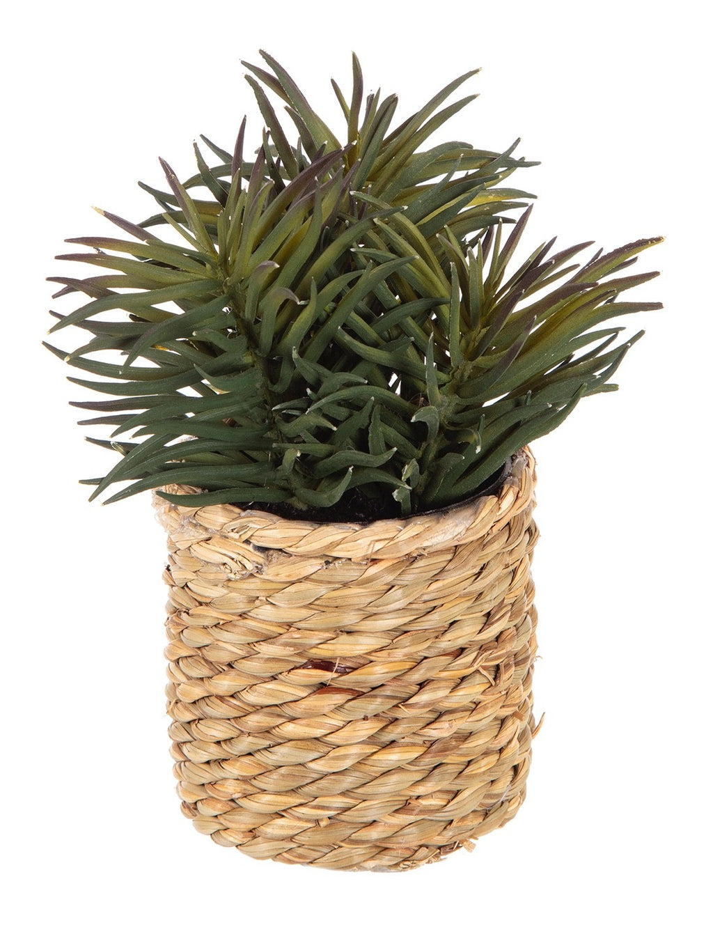 2 Different Artificial Cactus/Mini Succulents in a Seagrass Pot Indoor Outdoor