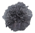 Black Hair Fascinator Flower Serrated Petals on Pony Tail Elastic Ideal Funeral