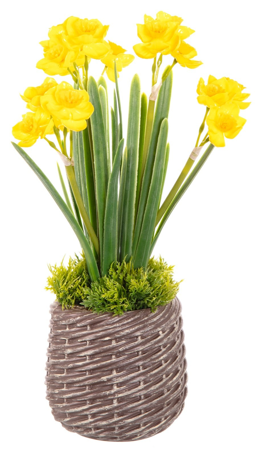 Choice of 2 Colours Artificial Daffodil Bunches in a Basket Effect Pot 28cm Tall