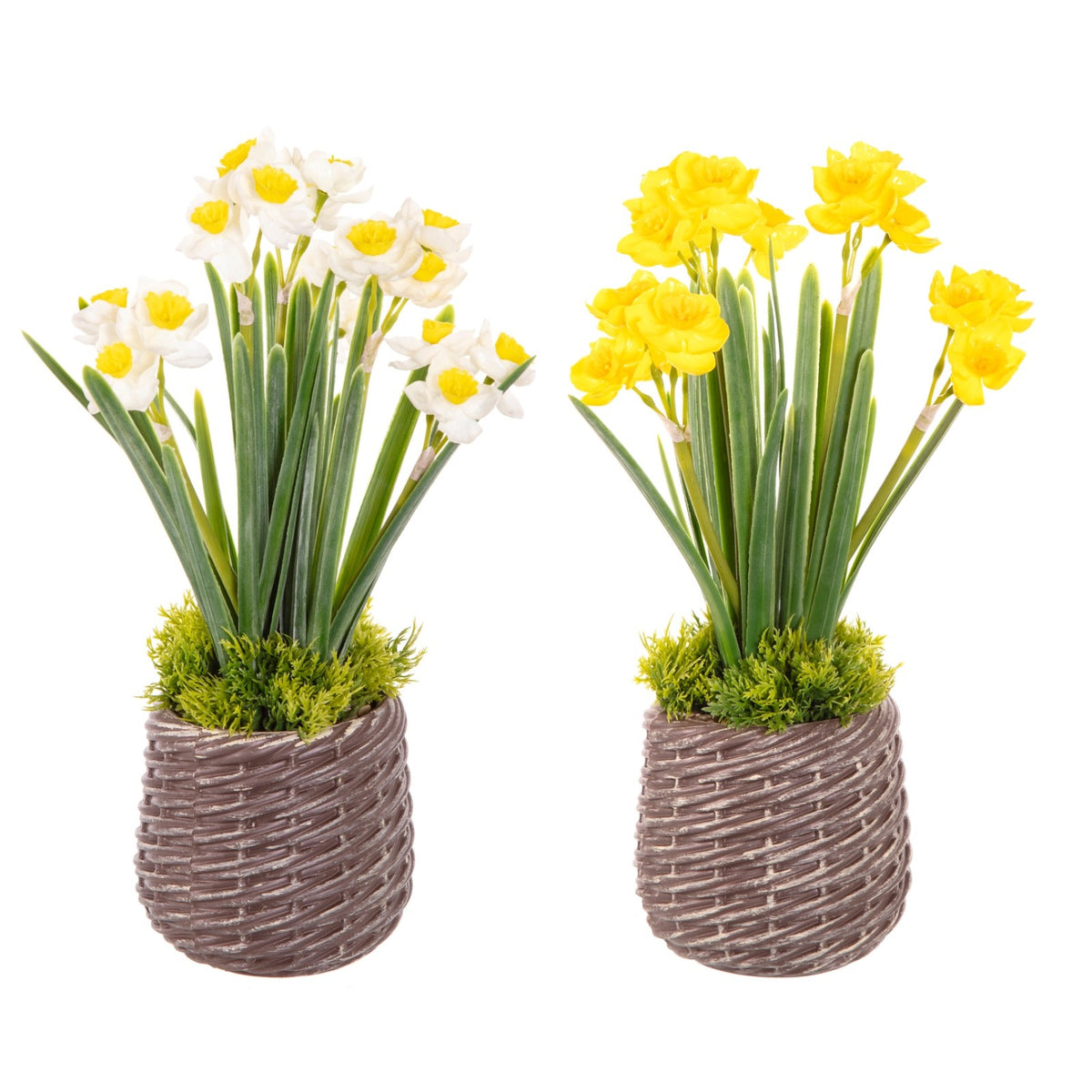 Choice of 2 Colours Artificial Daffodil Bunches in a Basket Effect Pot 28cm Tall