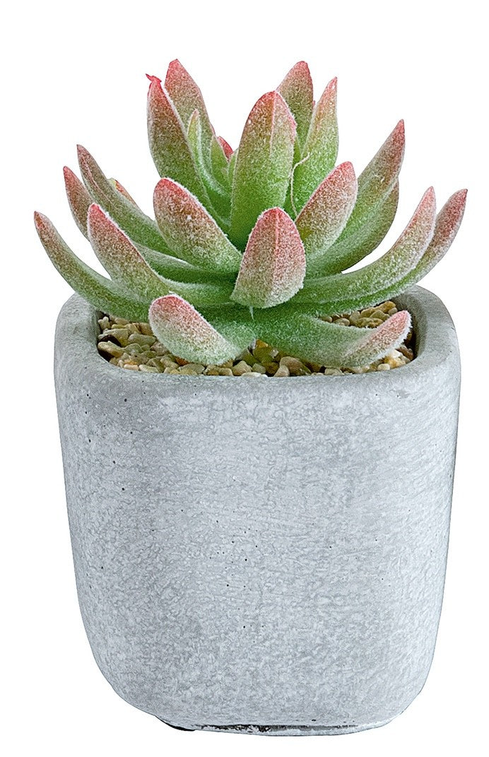 Choice of 6 different Artificial Cactus Plants in a  Stone Effect Ceramic Pot