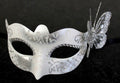 Winter Frosty White & Silver Venetian Masquerade Mask with Silver Butterfly