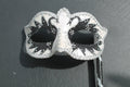 Black and White Swan Lake Mask on Stick